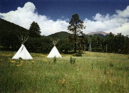 Teepees at Miranda